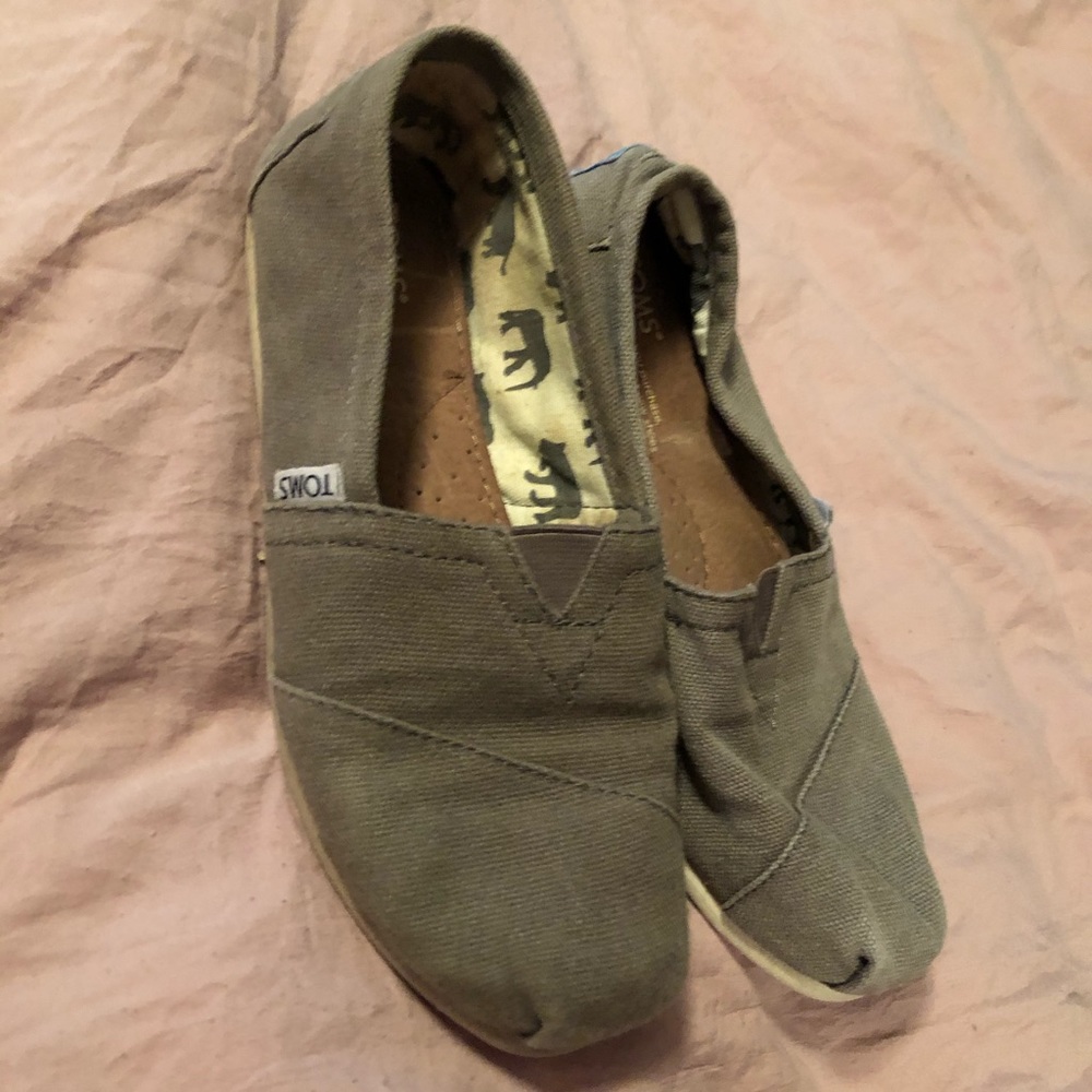 Grey Toms